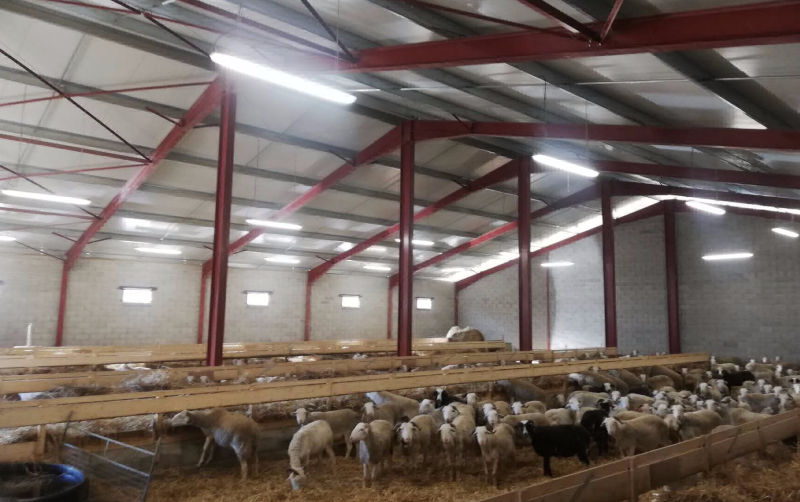 Hangar agricole